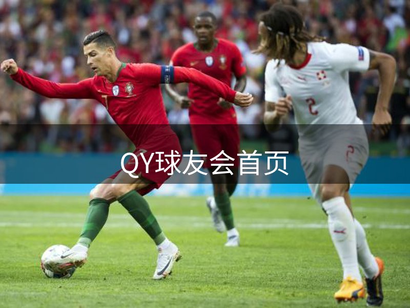 公司主张